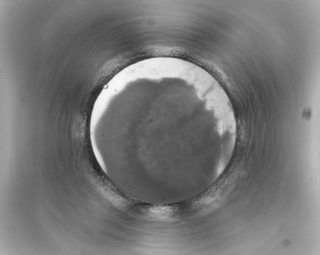 X0000093580357200711121106