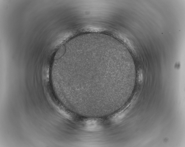 X0000093580358200711121106