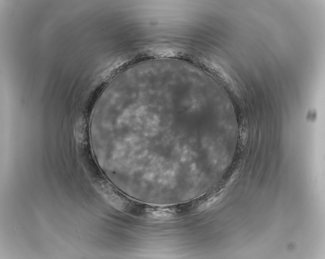 X0000093580359200711121106