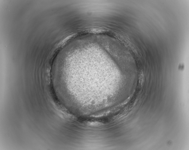 X0000093580360200711121106