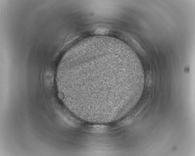 X0000093580363200711121106