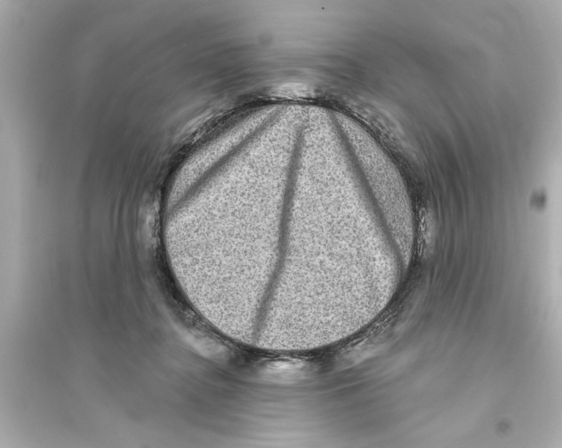 X0000093580364200711121106