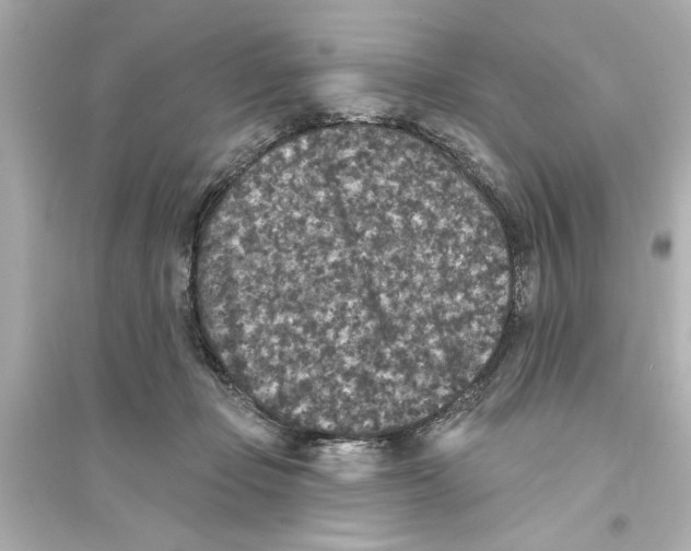 X0000093580365200711121106