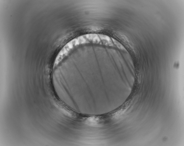 X0000093580366200711121106