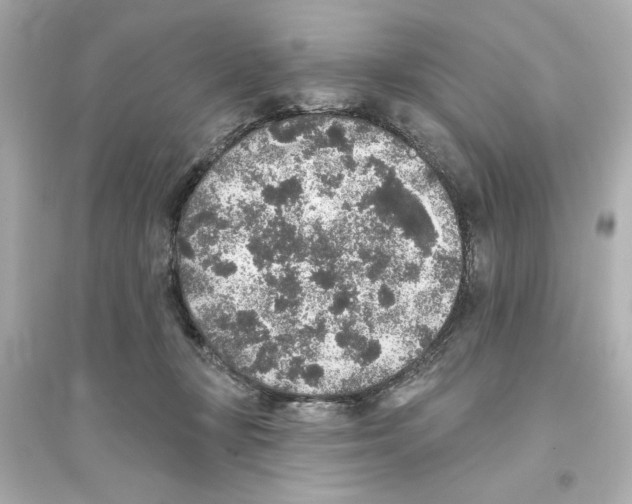 X0000093580367200711121106