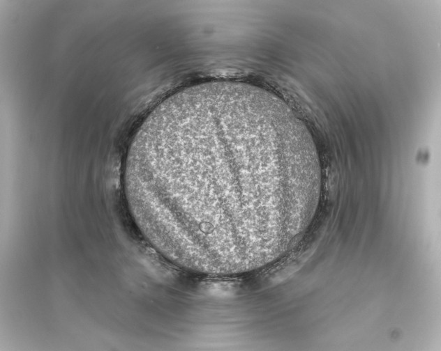 X0000093580368200711121106