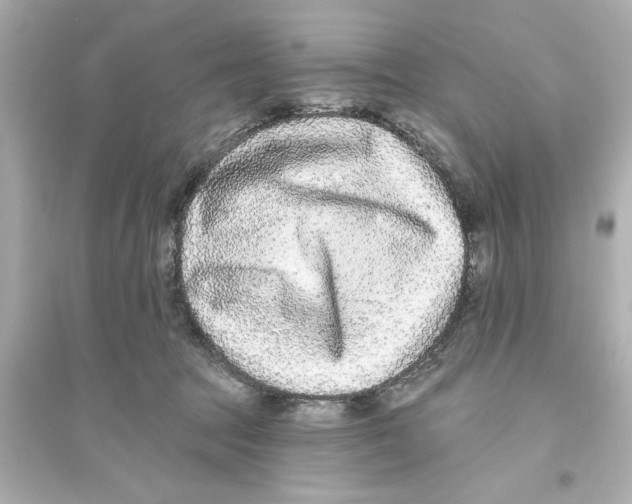 X0000093580369200711121106