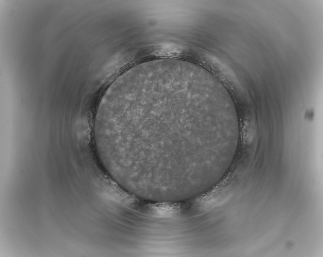 X0000093580370200711121106