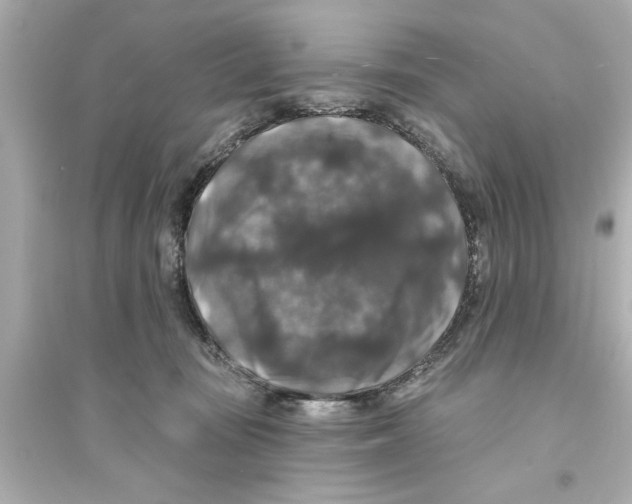 X0000093580371200711121106