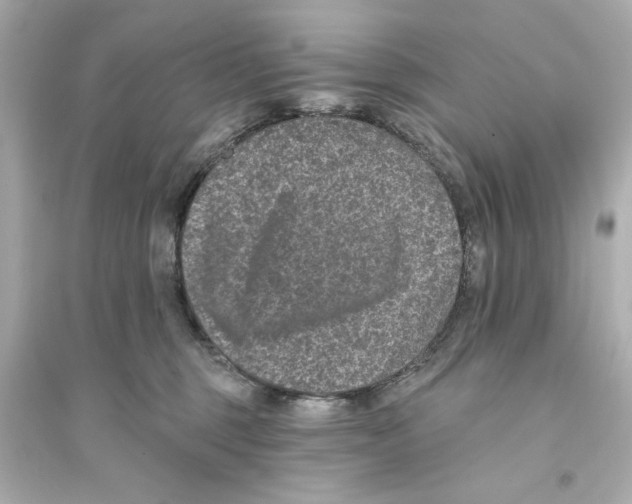 X0000093580375200711121106