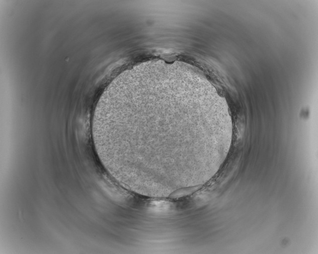 X0000093580376200711121106