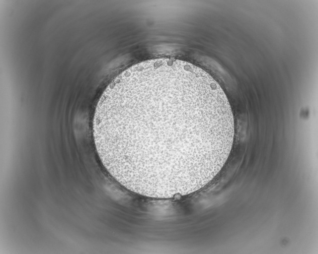 X0000093580377200711121106