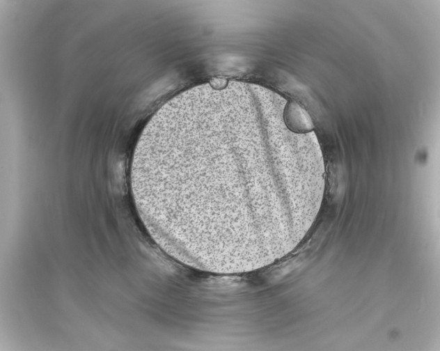 X0000093580378200711121106