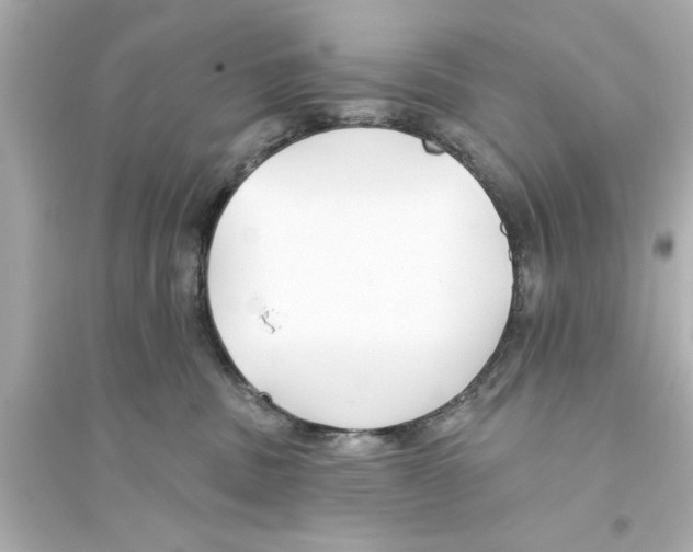 X0000093580379200711121106