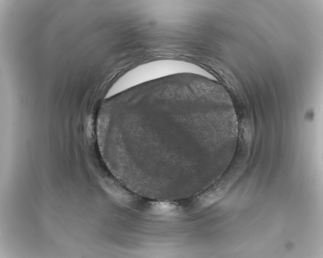 X0000093580380200711121106