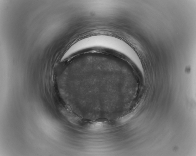 X0000093580382200711121106