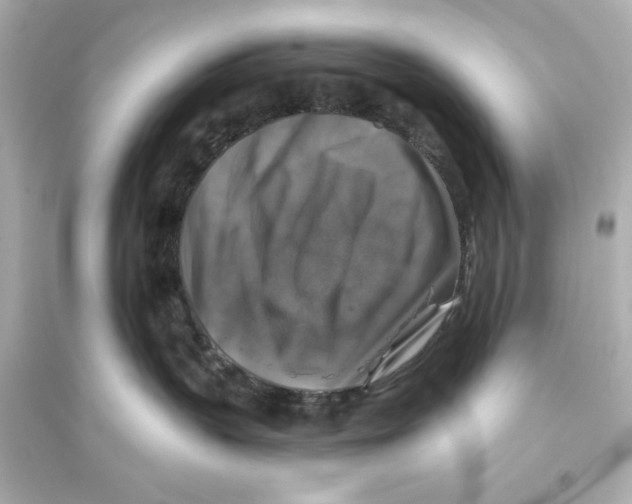 X0000093580383200711121106