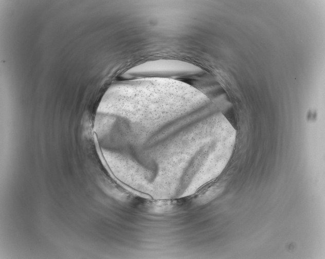 X0000093580384200711121106