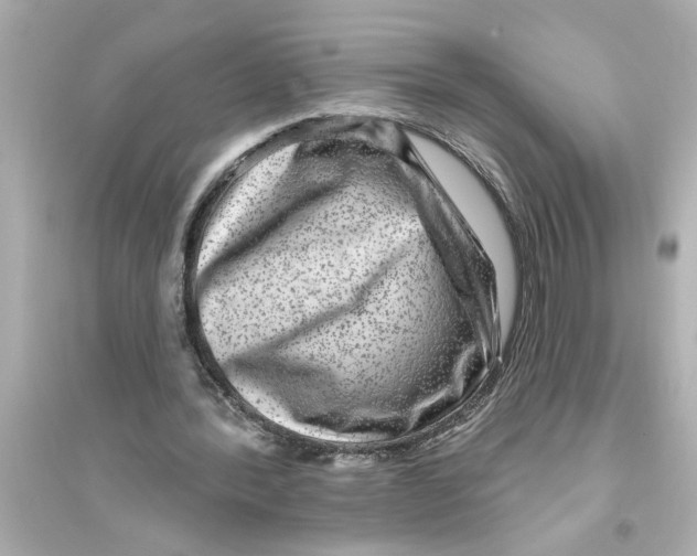 X0000093580388200711121105