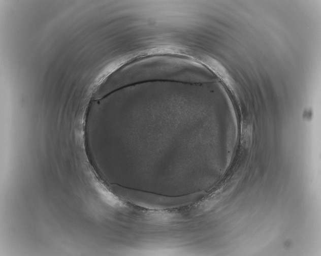 X0000093580389200711121105