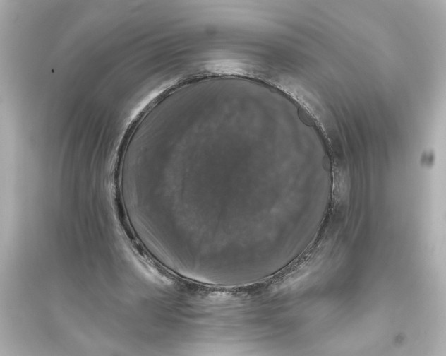 X0000093580390200711121105