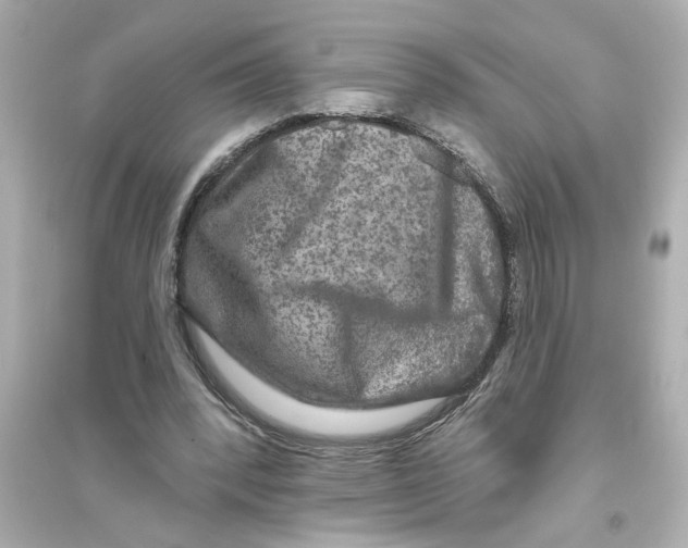 X0000093580392200711121105