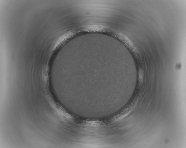 X0000093580396200711121105