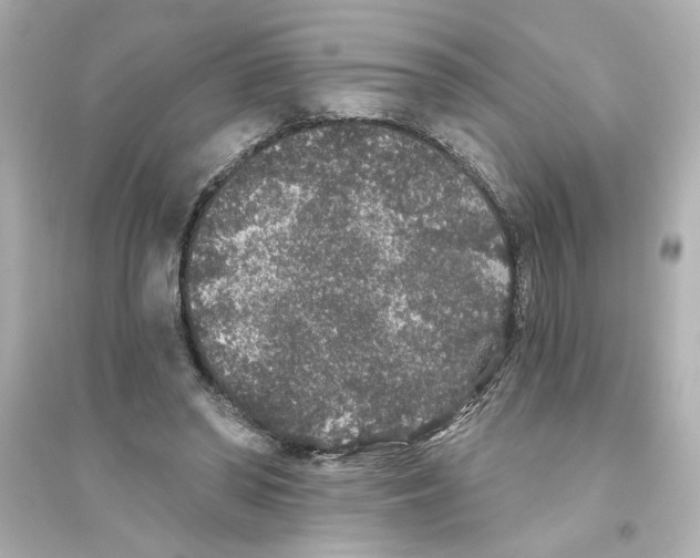 X0000093580398200711121105