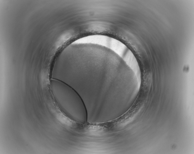 X0000093580399200711121105