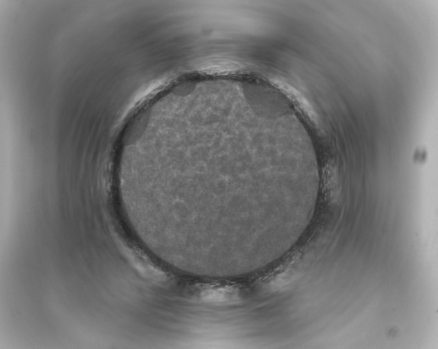 X0000093580400200711121105