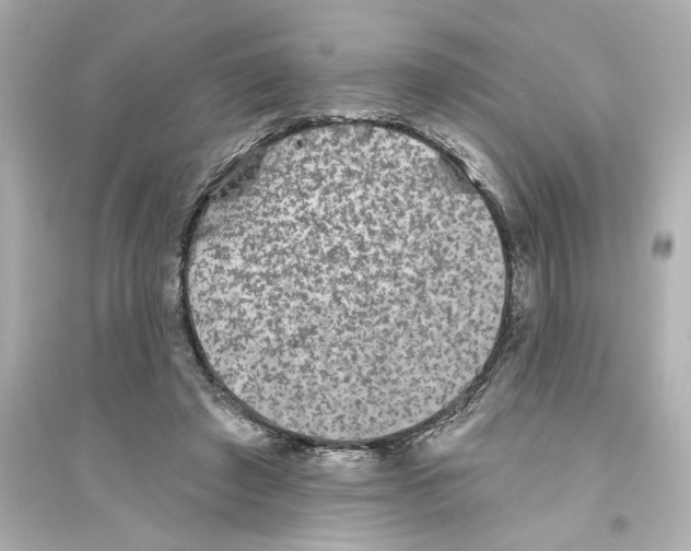 X0000093580401200711121105