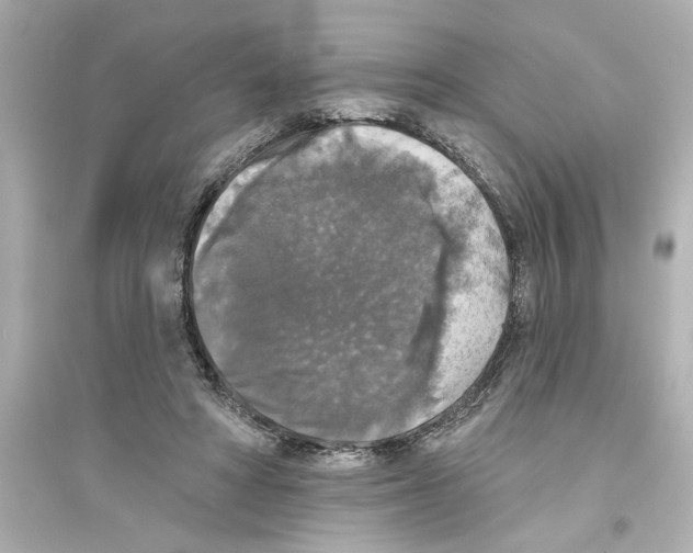 X0000093580402200711121105