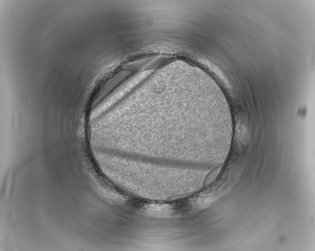 X0000093580403200711121105