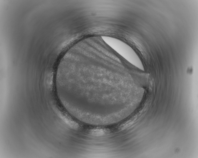 X0000093580404200711121105