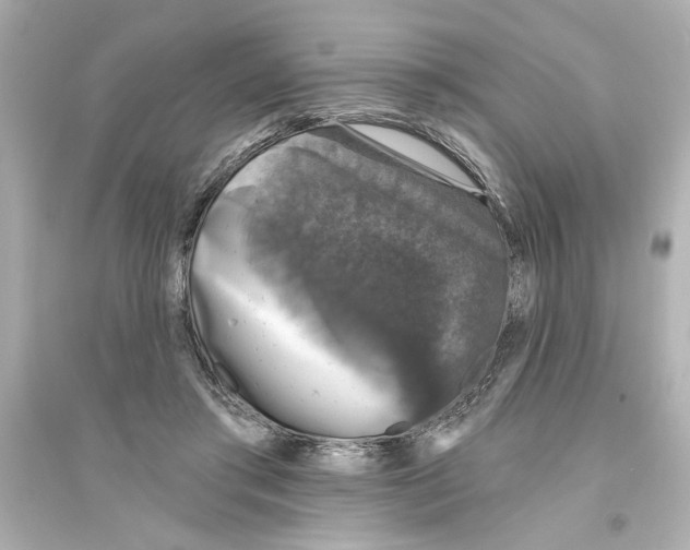 X0000093580405200711121105