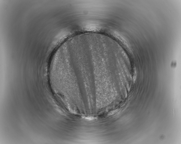 X0000093580407200711121105