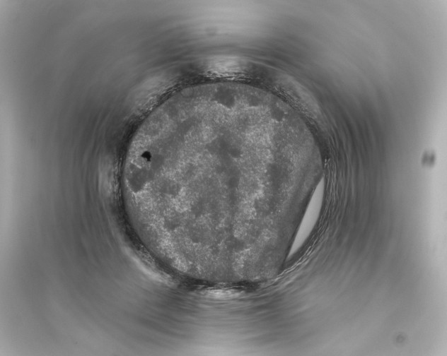 X0000093580408200711121105