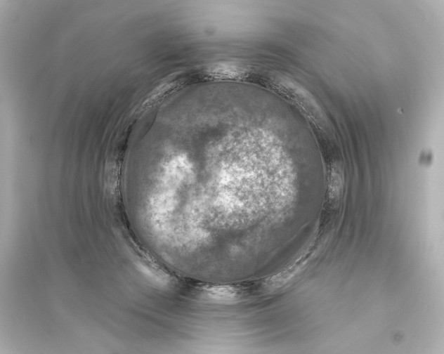 X0000093580409200711121105