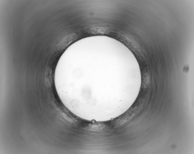 X0000093580414200711121105