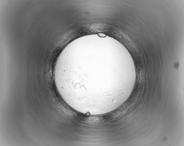 X0000093580418200711121105