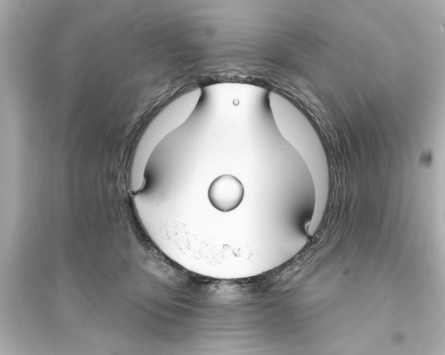 X0000093580419200711121105