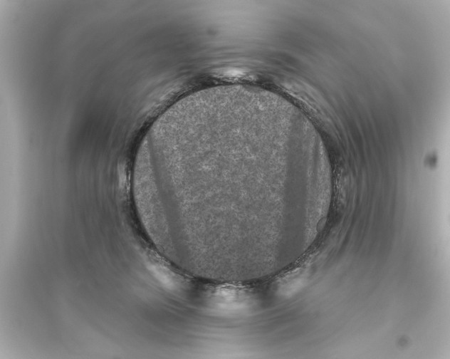 X0000093580420200711121105