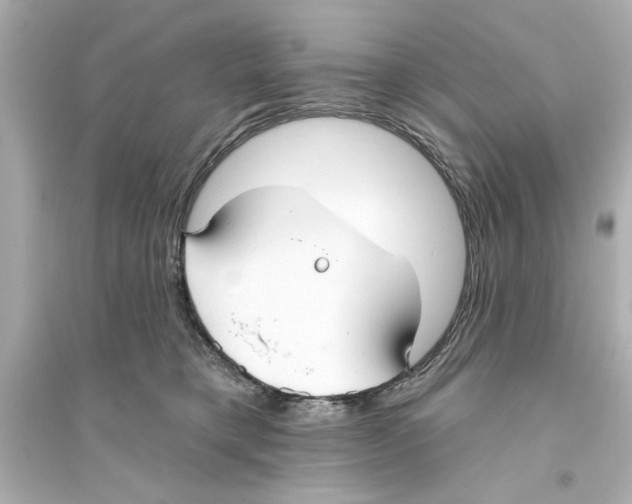 X0000093580421200711121105