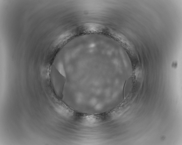 X0000093580423200711121105