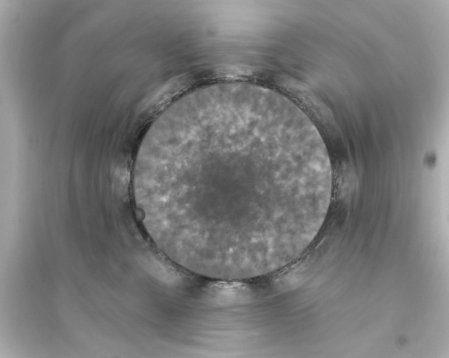 X0000093580427200711121105