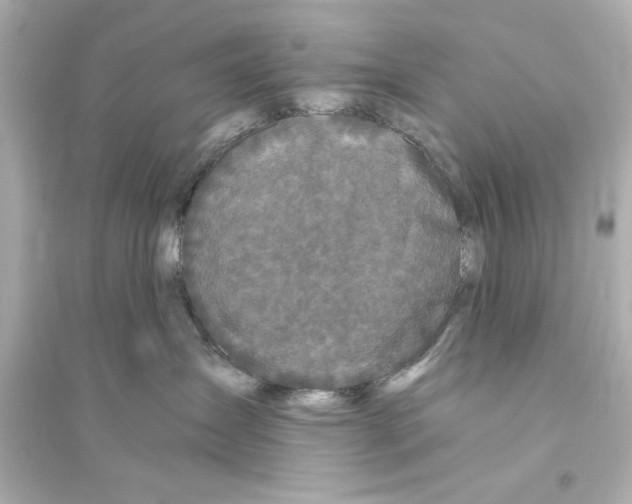 X0000093580431200711121105