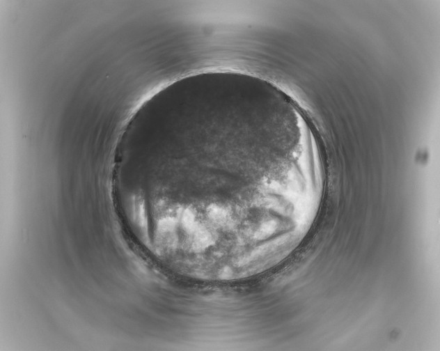 X0000093580434200711121104