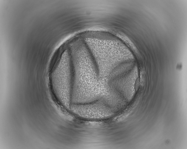 X0000093580436200711121104