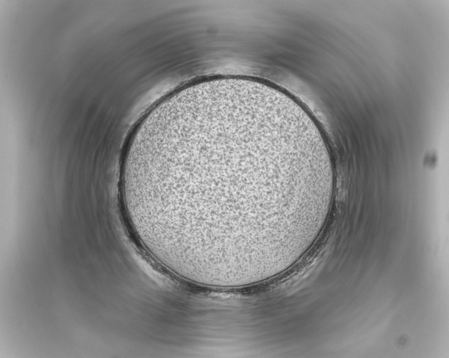 X0000093580437200711121104