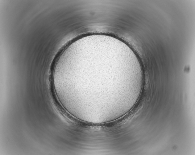 X0000093580439200711121104